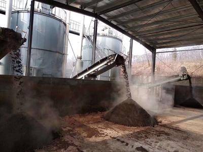 想買有機肥設備又怕價格高、操作難、適應性差？看這篇幫你輕松避坑！